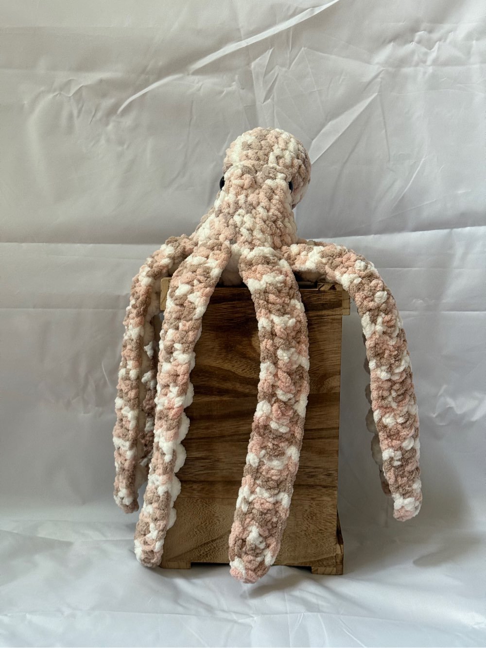 Medium Anchor Octopus