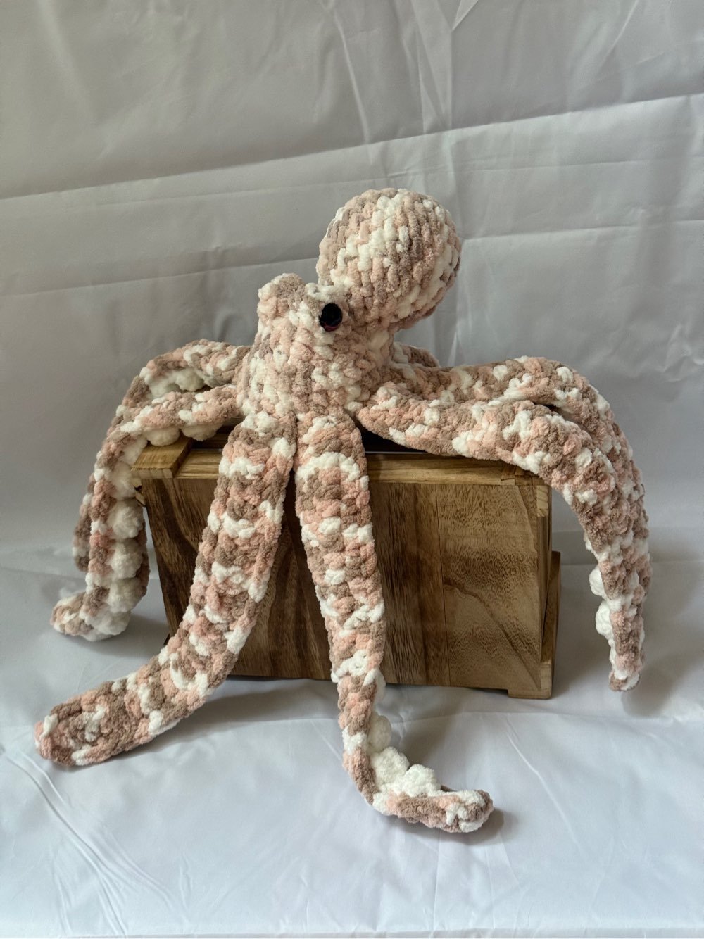 Medium Anchor Octopus