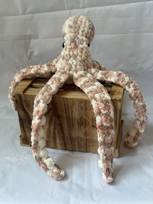 Medium Anchor Octopus