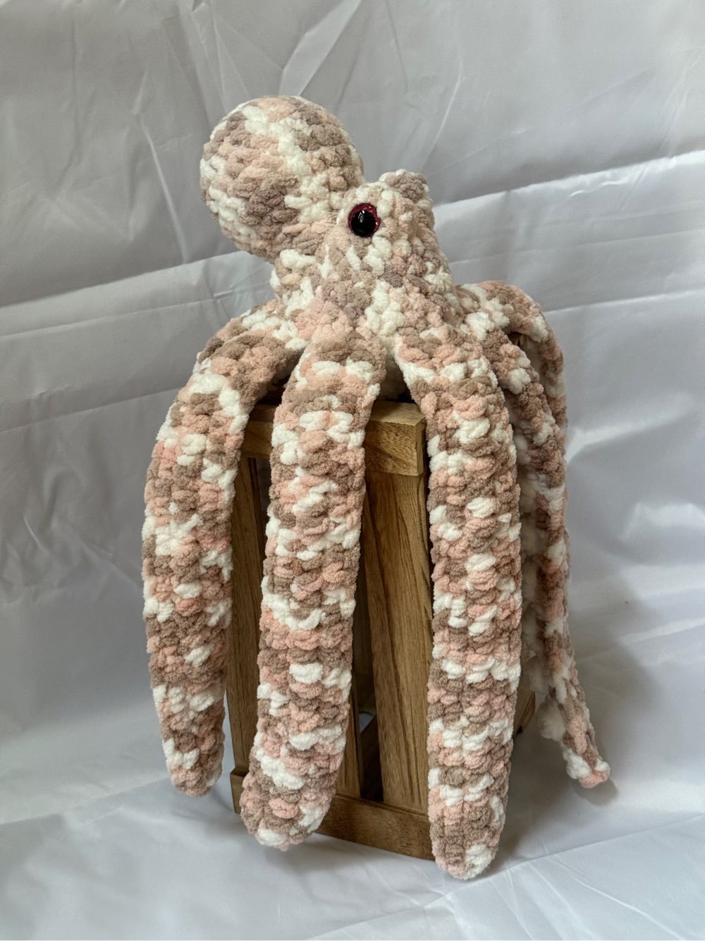 Medium Anchor Octopus