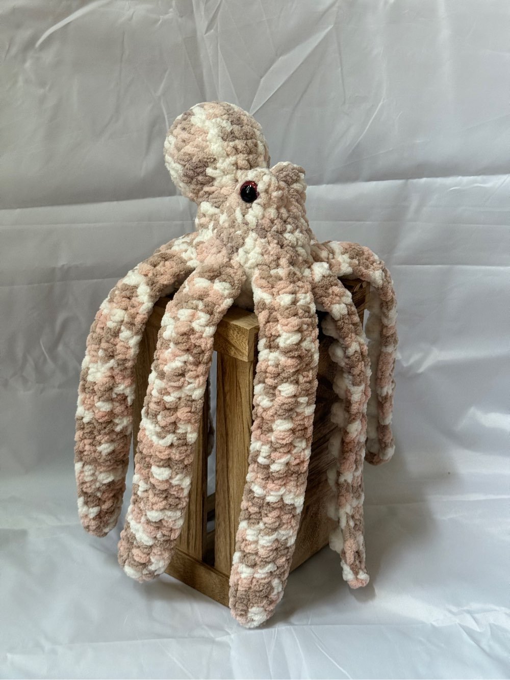 Medium Anchor Octopus