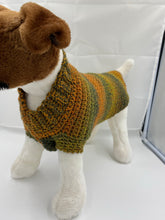 Load image into Gallery viewer, Autumn Leaves Dog Sweater

