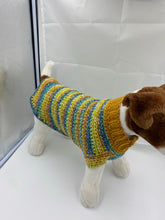 Load image into Gallery viewer, Fall Harvest Dog Sweater
